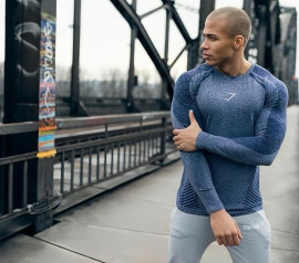 Devant seamless V2 longsleeve серые