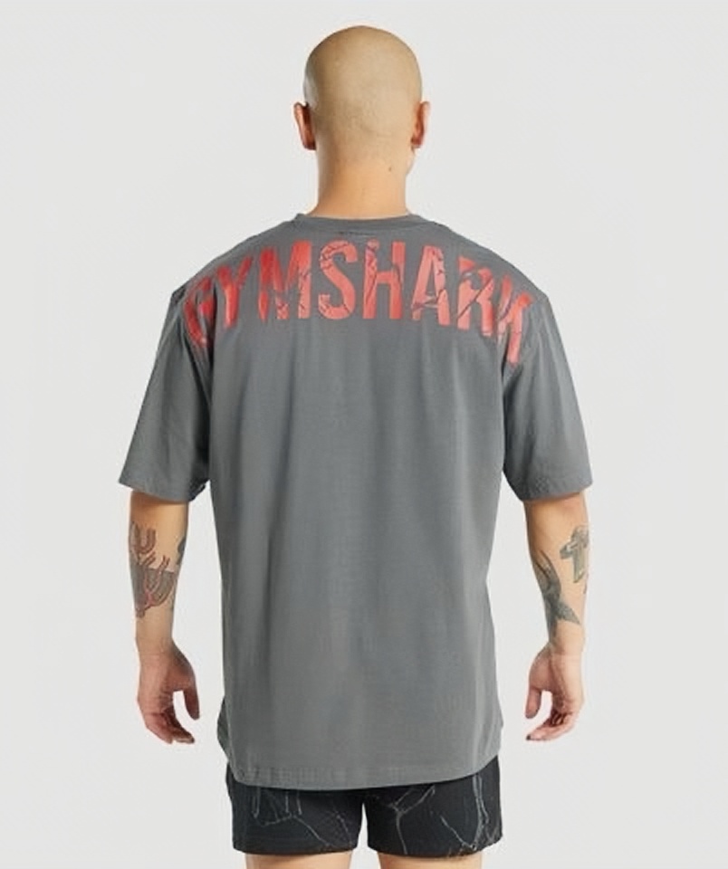 POWER 2.0 Oversize футболка серые
