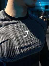 Onyx V5 longsleeve серые