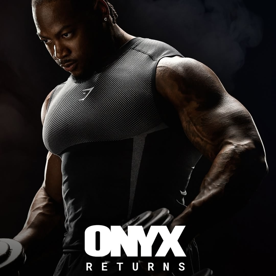 Onyx V5 майка серая